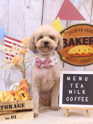 20240928モナカくん